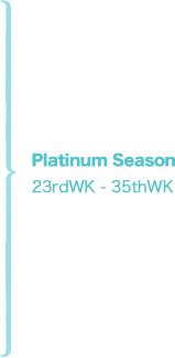 Platinum Season