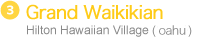 Grand Waikikian