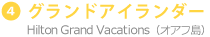 グランドアイランダー