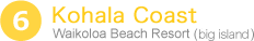 Kohala Coast
