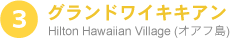 グランドワイキキアン